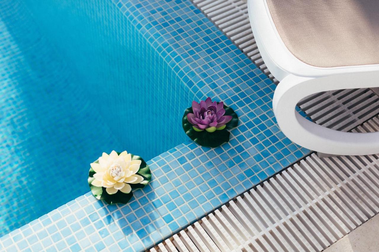 Apartment Gina โตรกีร์ ภายนอก รูปภาพ